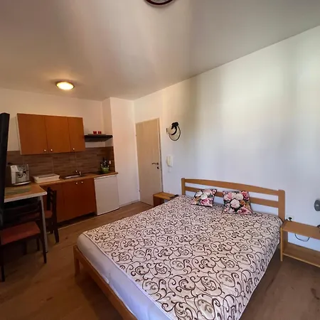 Alic Apartment Medulin